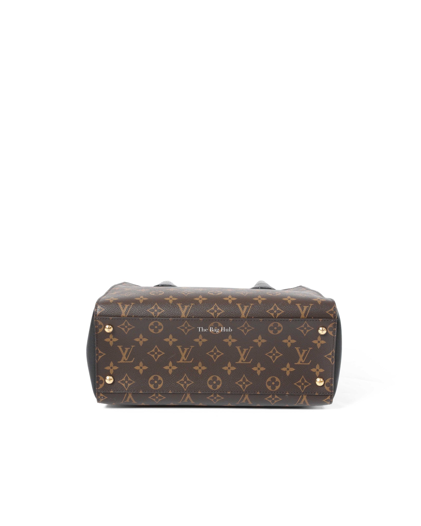 Louis Vuitton Monogram/Black Florine Bag-6