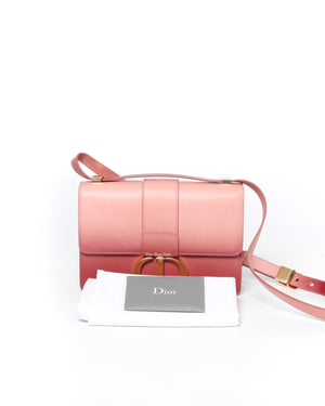 Dior Pink Ombre Leather 30 Montaigne Bag