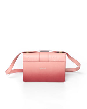Dior Pink Ombre Leather 30 Montaigne Bag