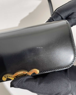 Celine Black Teen Triomphe Bag-17