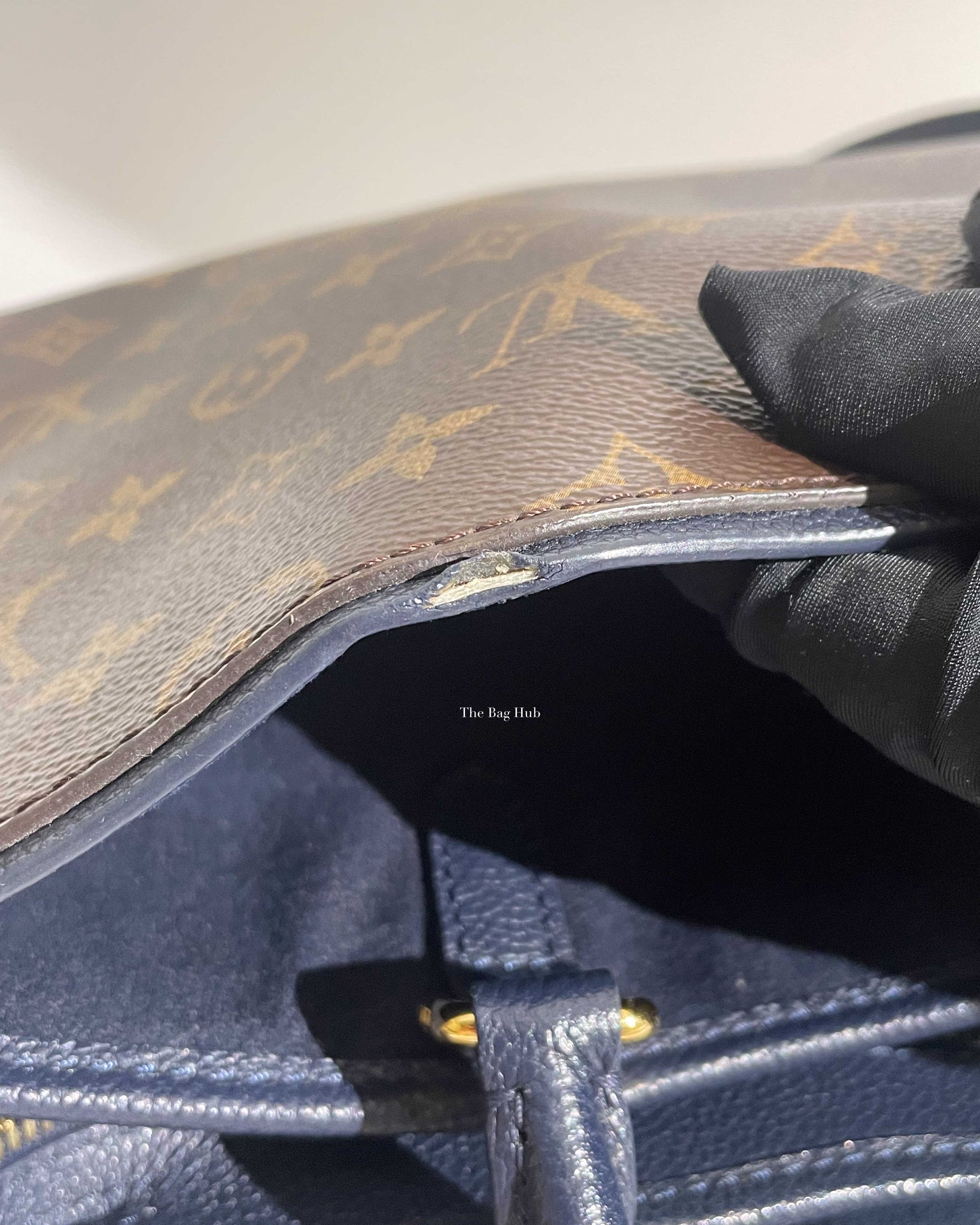 Louis Vuitton Monogram Popincourt PM Bag