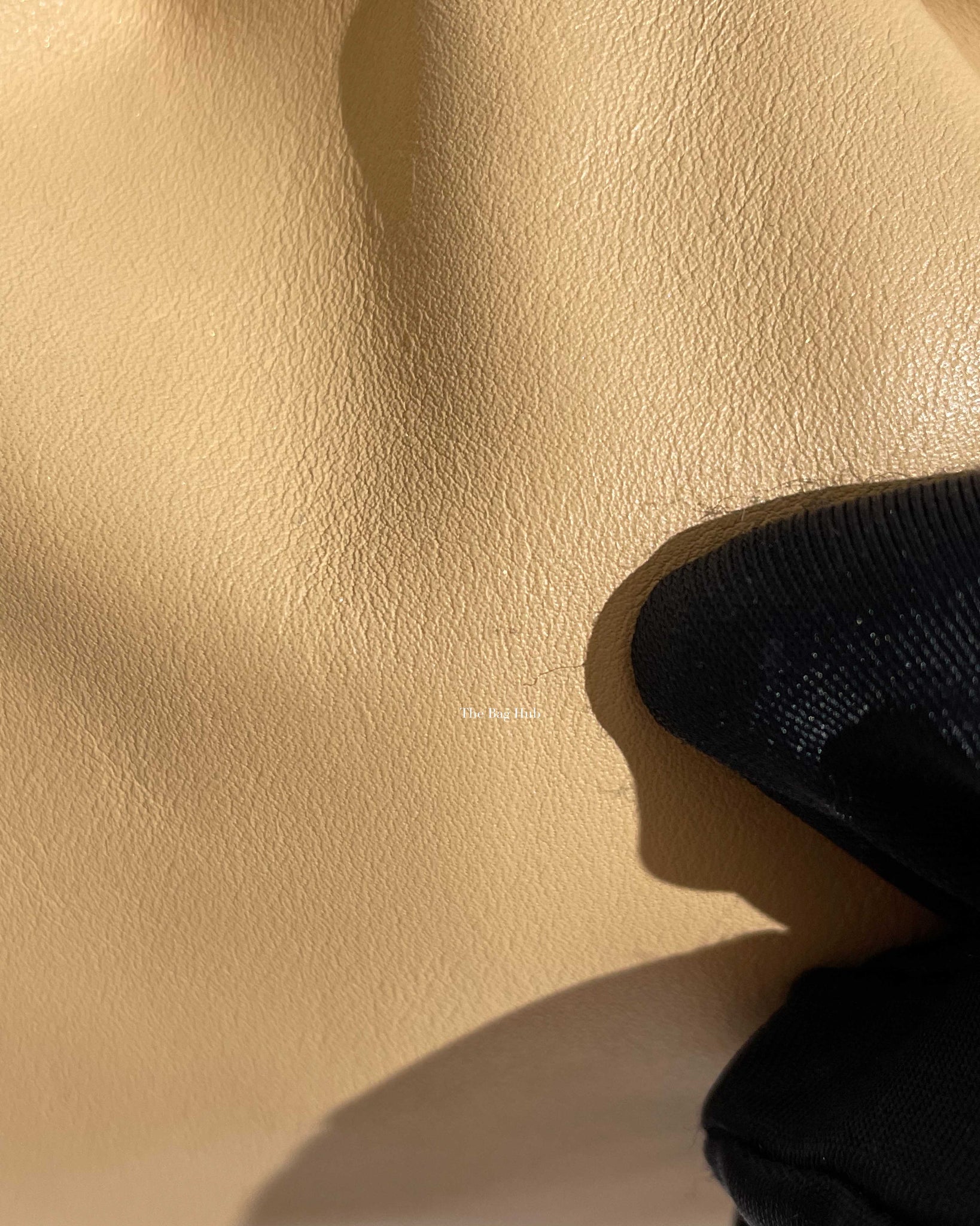 Bottega Veneta Almond Mini Pouch-12