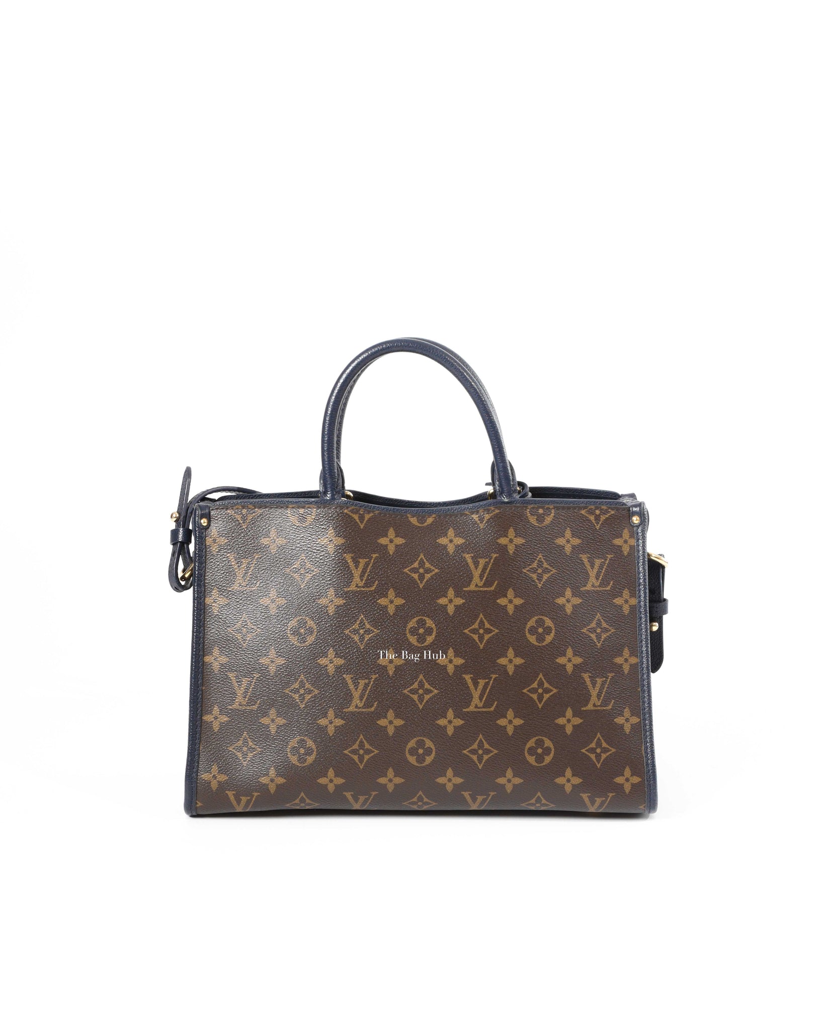Louis Vuitton Monogram Popincourt PM Bag