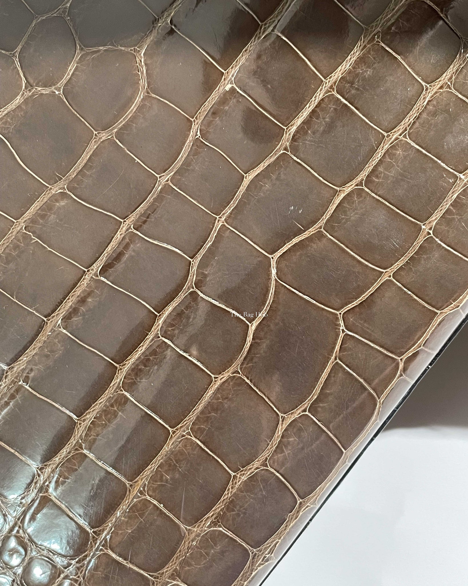 Hermes Vintage Tricolor Crocodile Kelly 28 GHW - 19