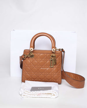Christian Dior Brandy Lady Dior Supple Bag Limited Ed Bag-13