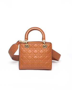 Christian Dior Brandy Lady Dior Supple Bag Limited Ed Bag-3