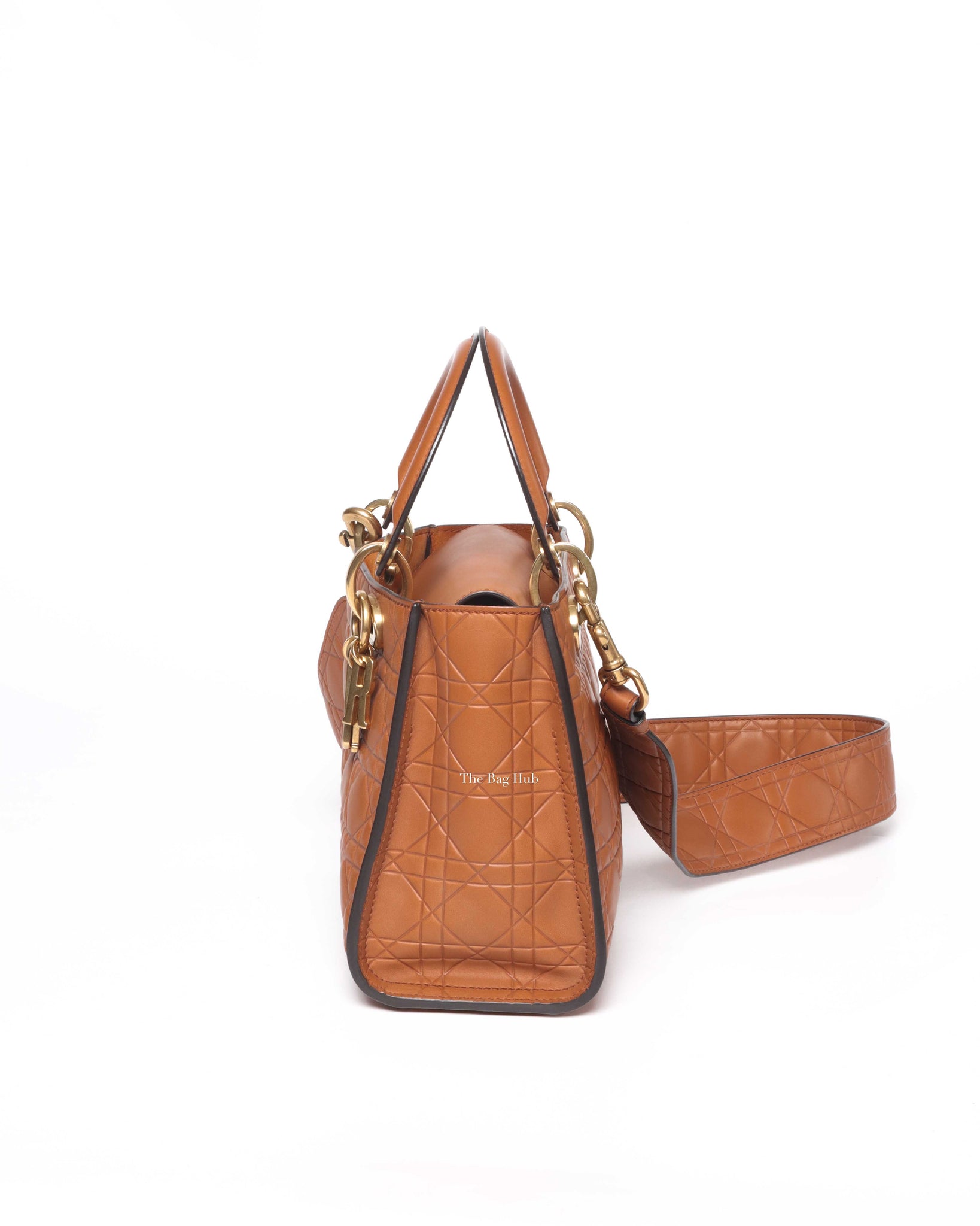 Christian Dior Brandy Lady Dior Supple Bag Limited Ed Bag-5