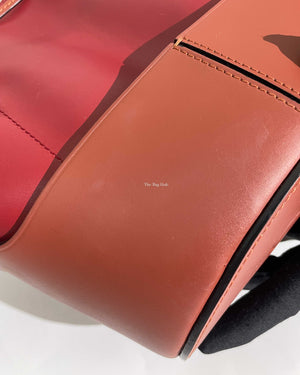 Loewe Red & Brown Leather Small Balloon Bag - 12