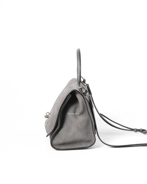Moynat Gray Suede Danse PM Bag