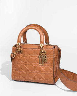 Christian Dior Brandy Lady Dior Supple Bag Limited Ed Bag-1