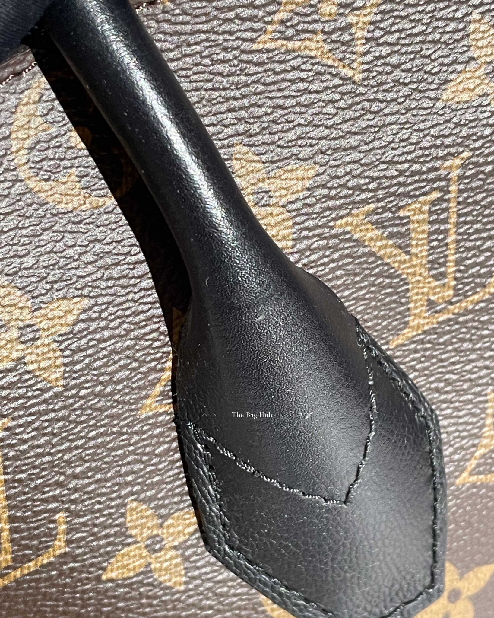 Louis Vuitton Monogram/Black Florine Bag-19