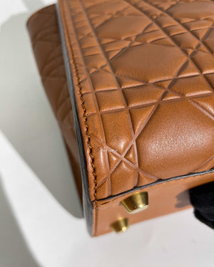 Christian Dior Brandy Lady Dior Supple Bag Limited Ed Bag-14