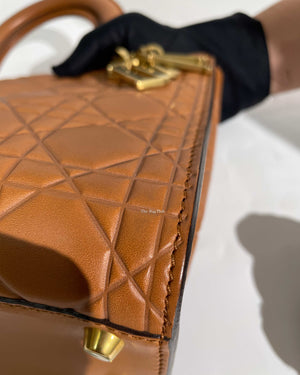 Christian Dior Brandy Lady Dior Supple Bag Limited Ed Bag-15