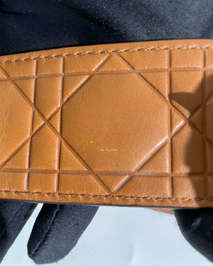 Christian Dior Brandy Lady Dior Supple Bag Limited Ed Bag-25