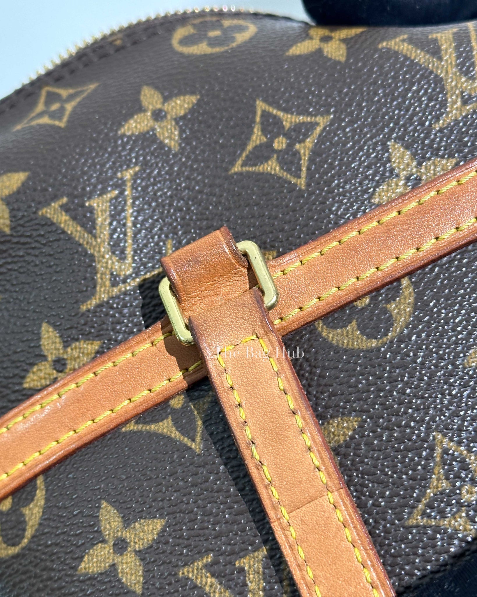 Louis Vuitton Monogram Sac Coussin Shoulder Bag-16