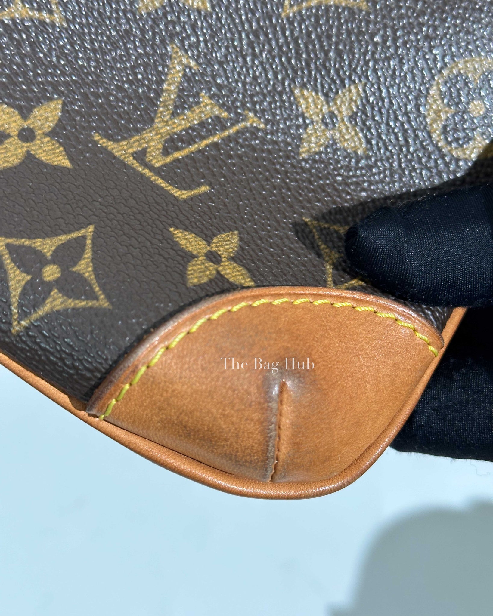 Louis Vuitton Monogram Sac Coussin Shoulder Bag-24