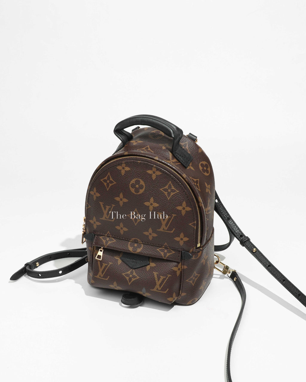 Louis Vuitton Monogram Palm Springs Mini Backpack-1