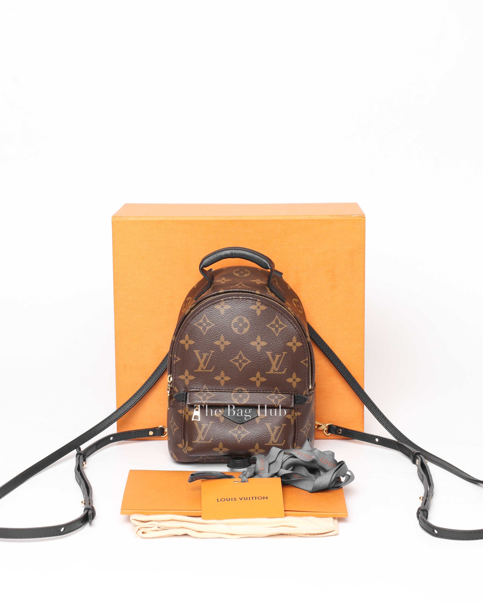 Louis Vuitton Monogram Palm Springs Mini Backpack-13