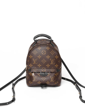 Louis Vuitton Monogram Palm Springs Mini Backpack-2