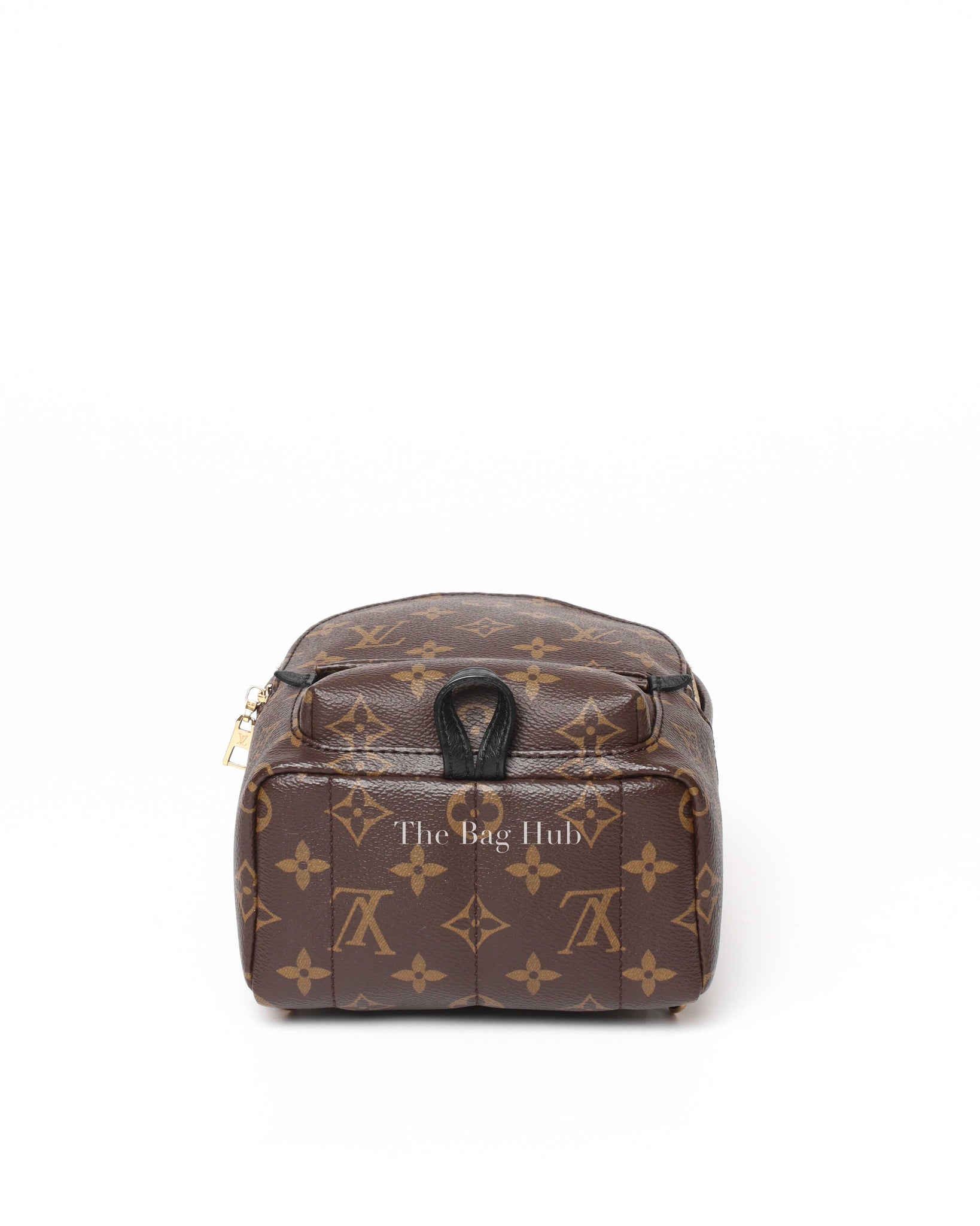 Louis Vuitton Monogram Palm Springs Mini Backpack-6