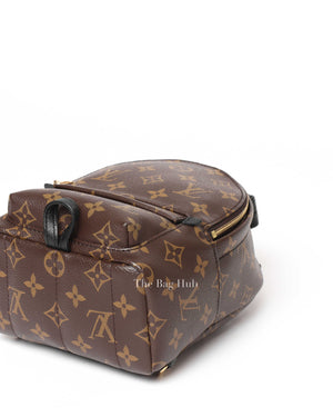 Louis Vuitton Monogram Palm Springs Mini Backpack-8