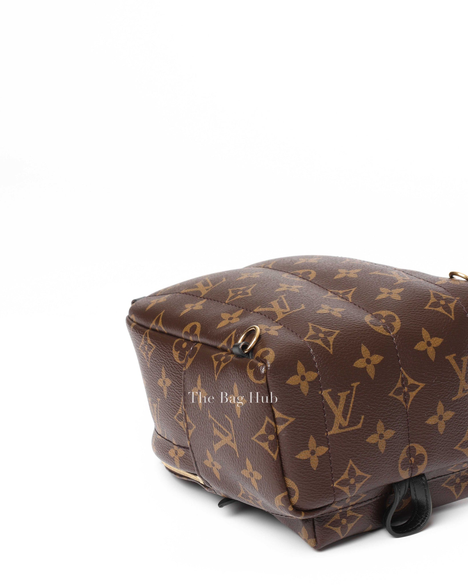 Louis Vuitton Monogram Palm Springs Mini Backpack-9