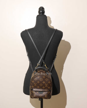 Louis Vuitton Monogram Palm Springs Mini Backpack-12