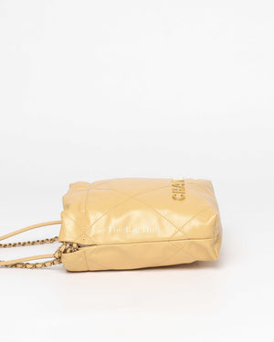 Chanel Beige Calfskin C22 Mini Handbag GHW-4