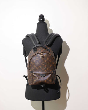 Louis Vuitton Monogram Canvas Palm Spring PM Backpack-11