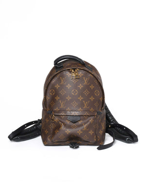 Louis Vuitton Monogram Canvas Palm Spring PM Backpack-2