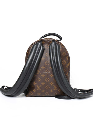 Louis Vuitton Monogram Canvas Palm Spring PM Backpack-3
