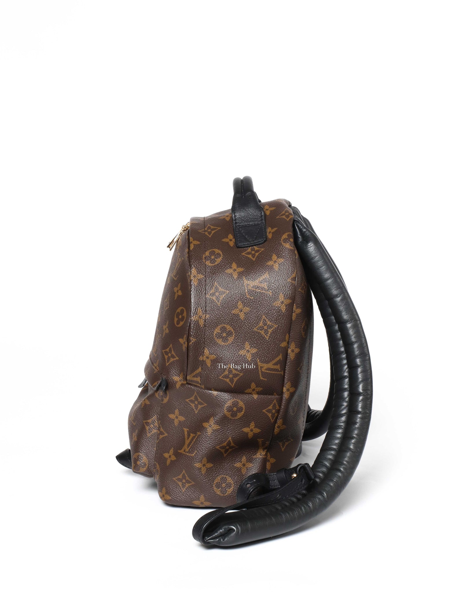 Louis Vuitton Monogram Canvas Palm Spring PM Backpack-5