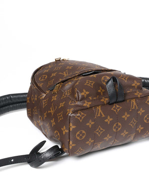Louis Vuitton Monogram Canvas Palm Spring PM Backpack-7