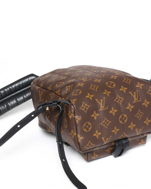 Louis Vuitton Monogram Canvas Palm Spring PM Backpack-9