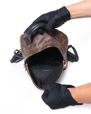 Louis Vuitton Monogram Canvas Palm Spring PM Backpack-10