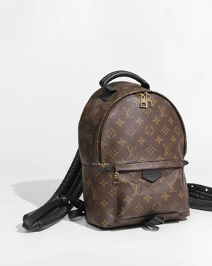 Louis Vuitton Monogram Canvas Palm Spring PM Backpack-1