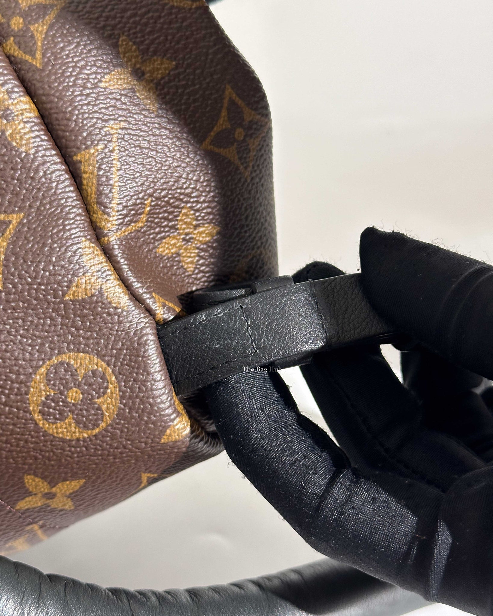 Louis Vuitton Monogram Canvas Palm Spring PM Backpack-14