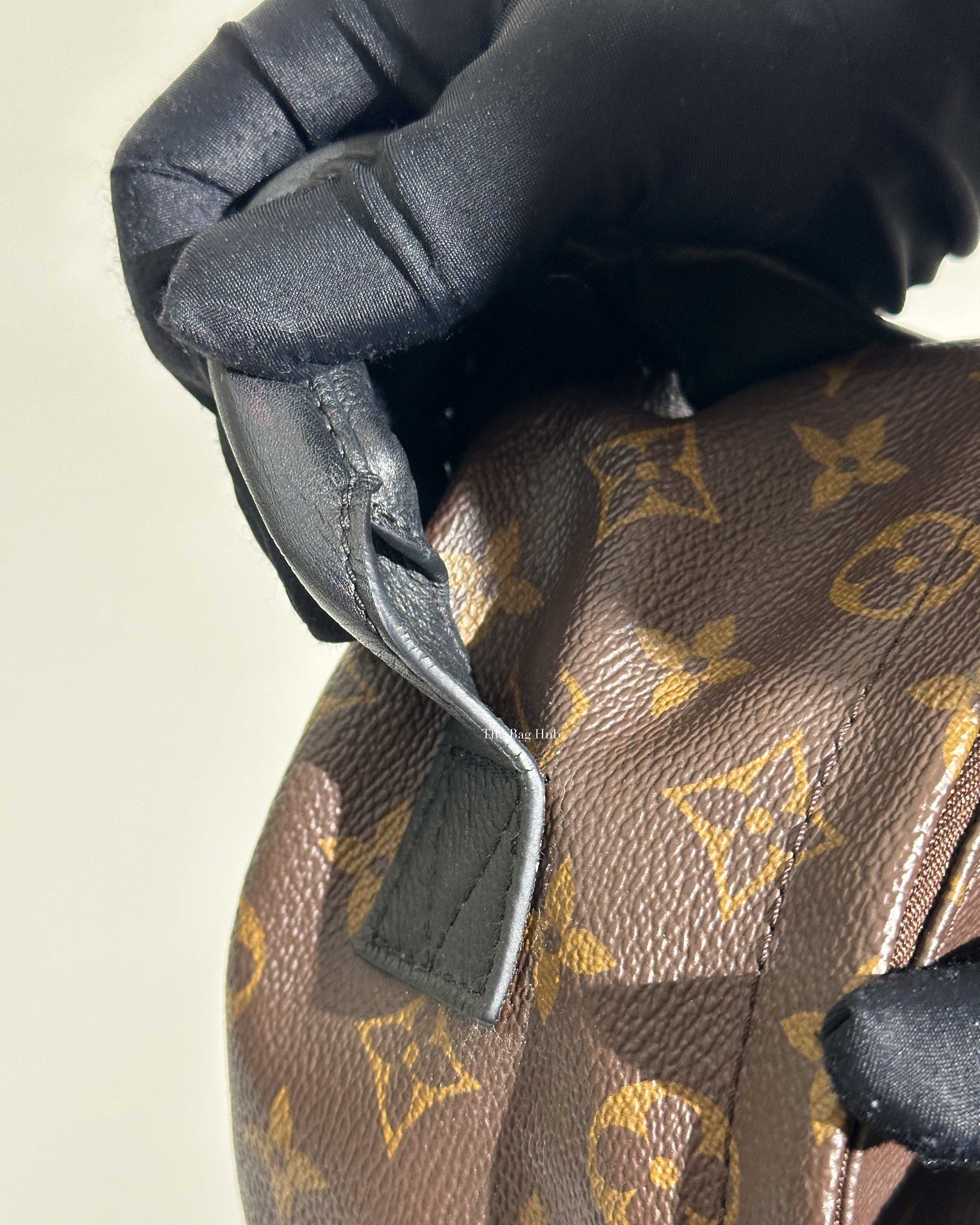 Louis Vuitton Monogram Canvas Palm Spring PM Backpack-17