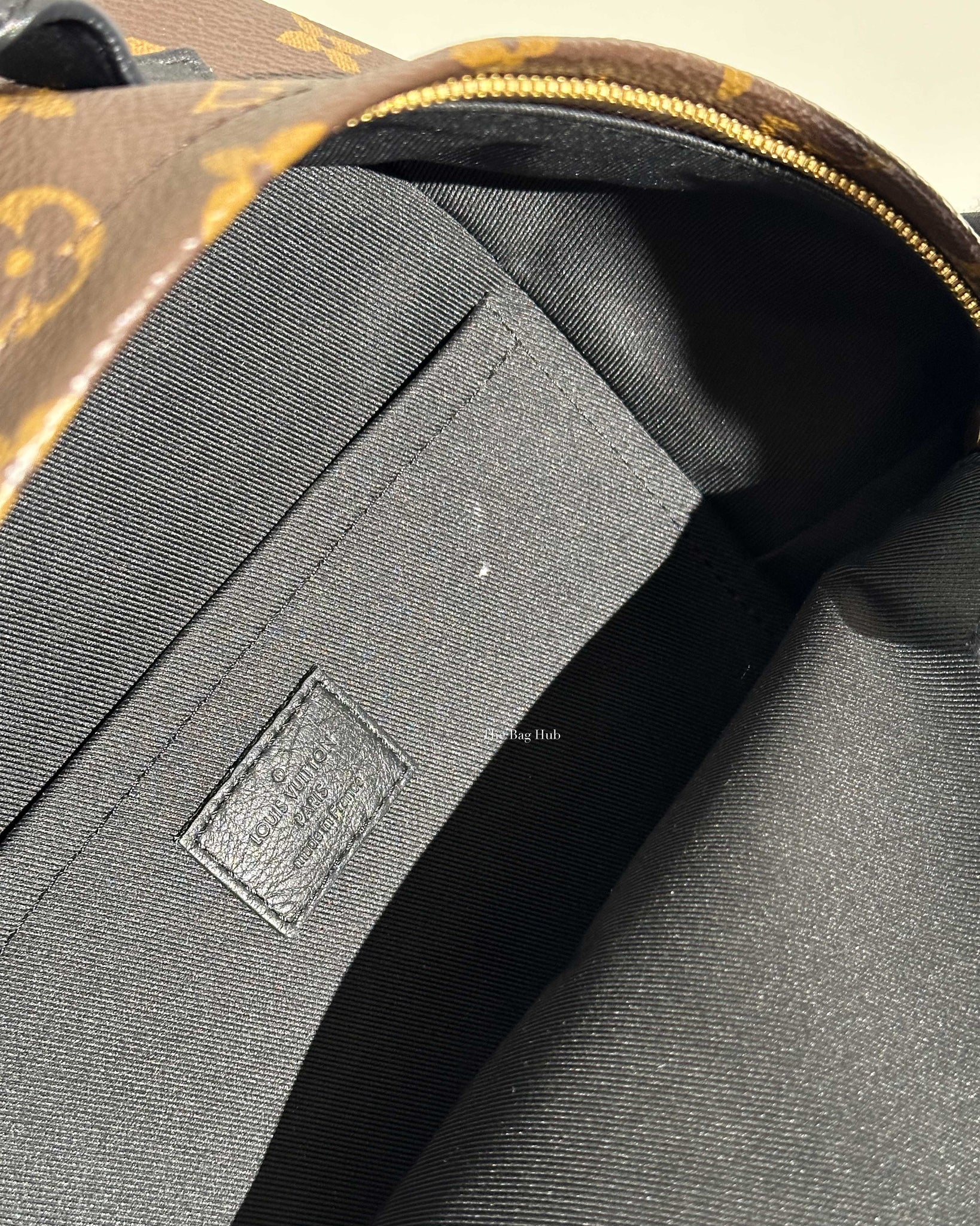 Louis Vuitton Monogram Canvas Palm Spring PM Backpack-19