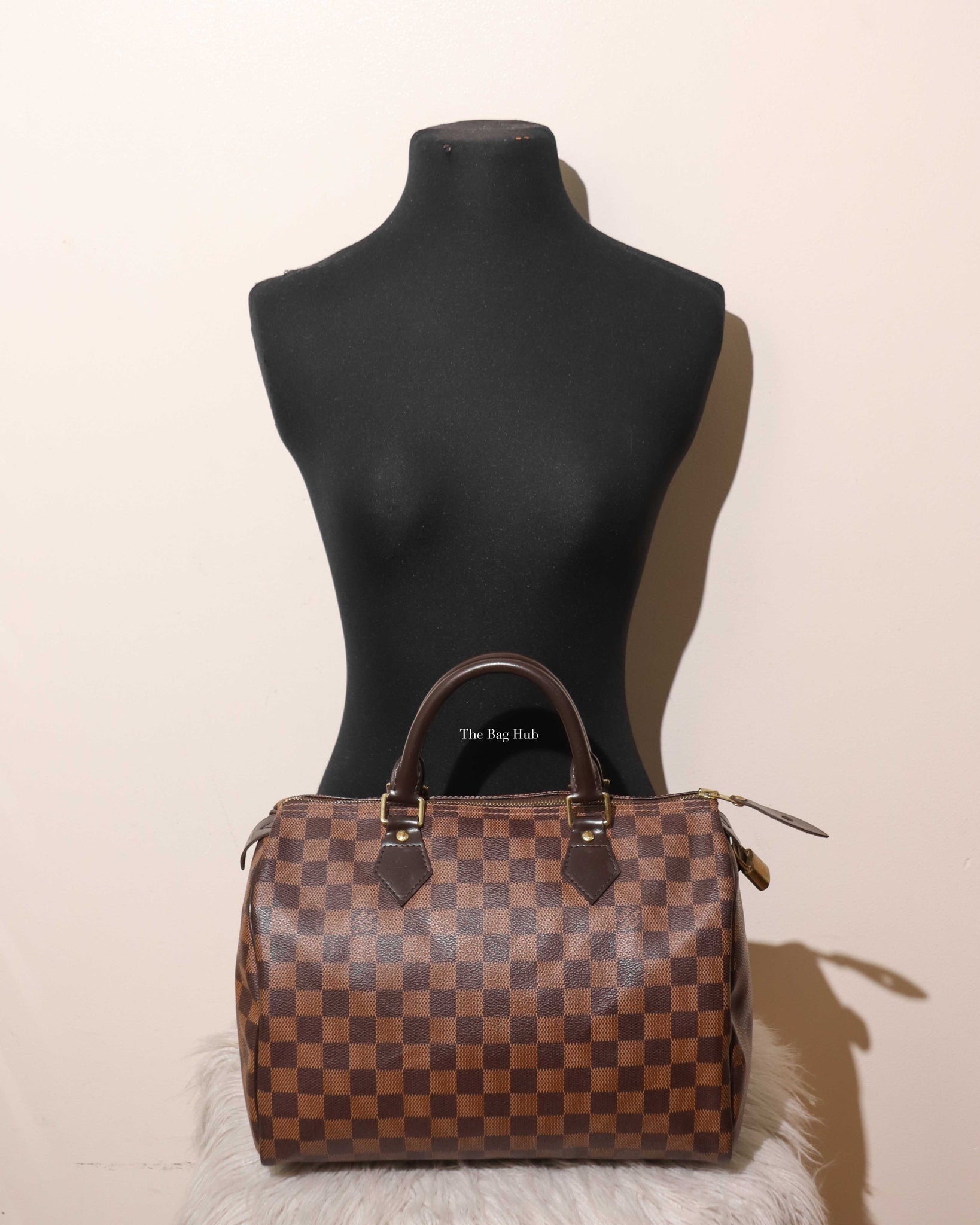 Louis Vuitton Damier Ebene Speedy 30-12