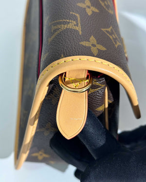 Louis Vuitton Monogram Diane Shoulder & Crossbody Bag-15