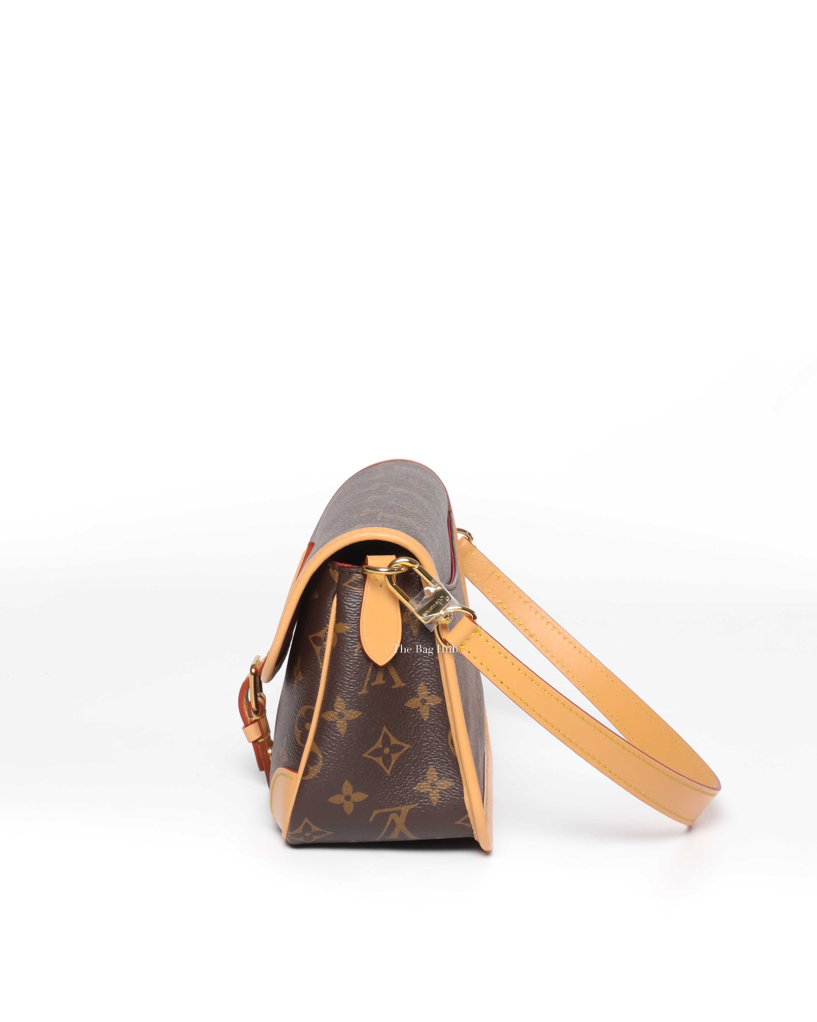 Louis Vuitton Monogram Diane Shoulder & Crossbody Bag-5