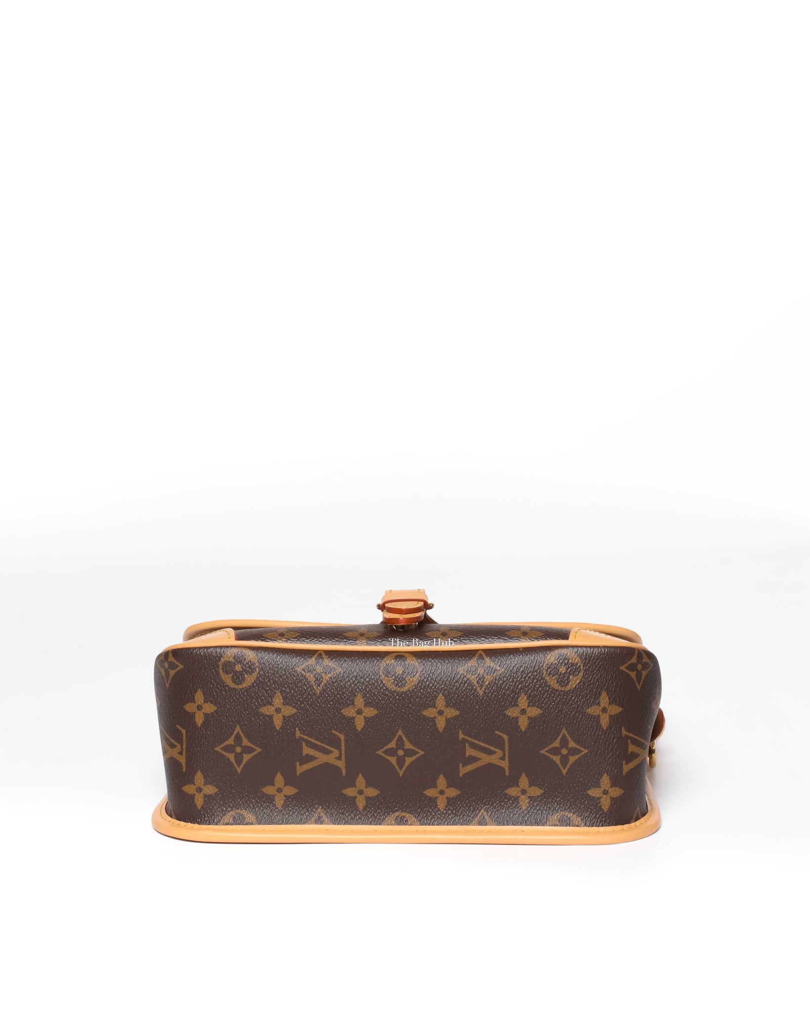 Louis Vuitton Monogram Diane Shoulder & Crossbody Bag-6