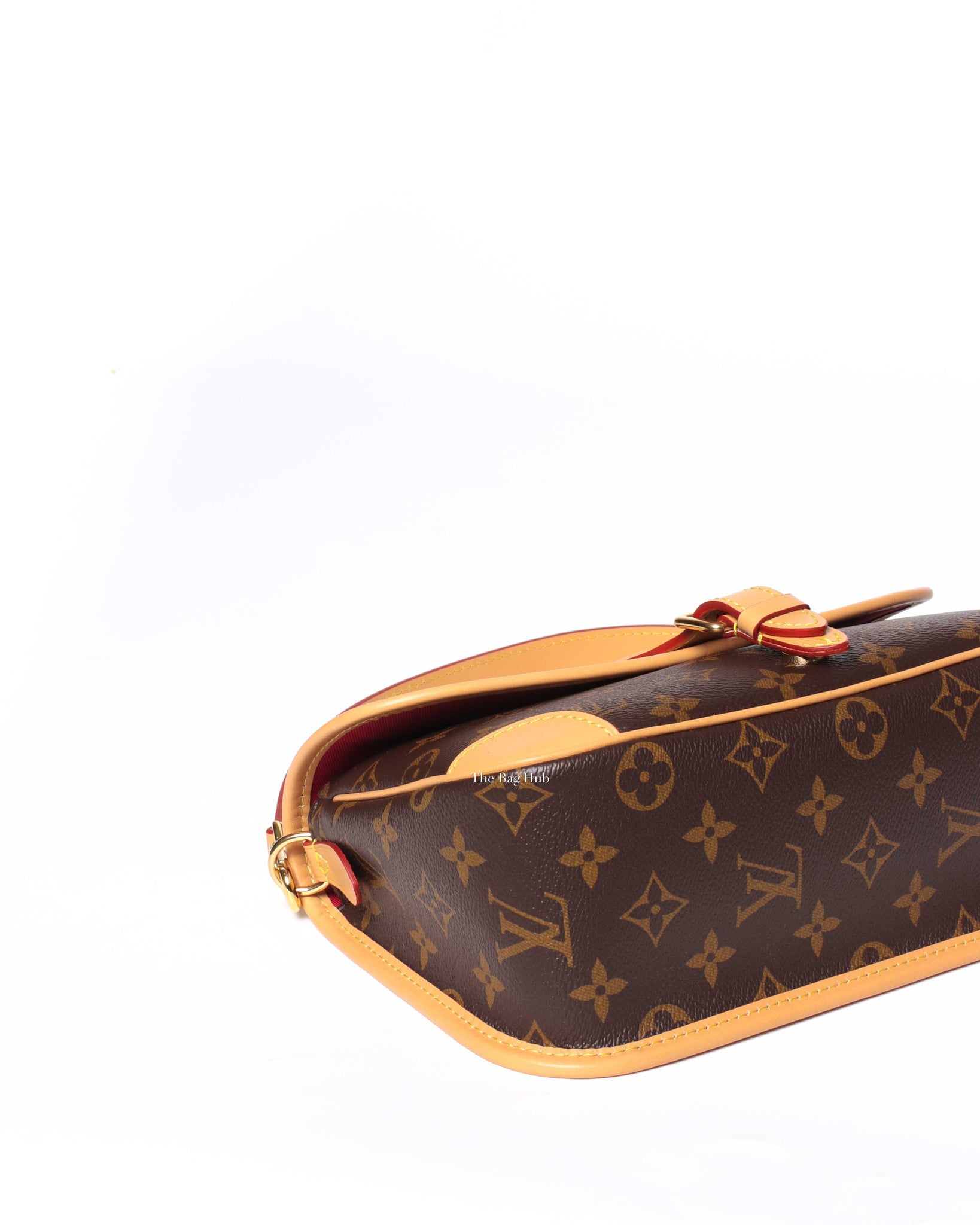 Louis Vuitton Monogram Diane Shoulder & Crossbody Bag-7