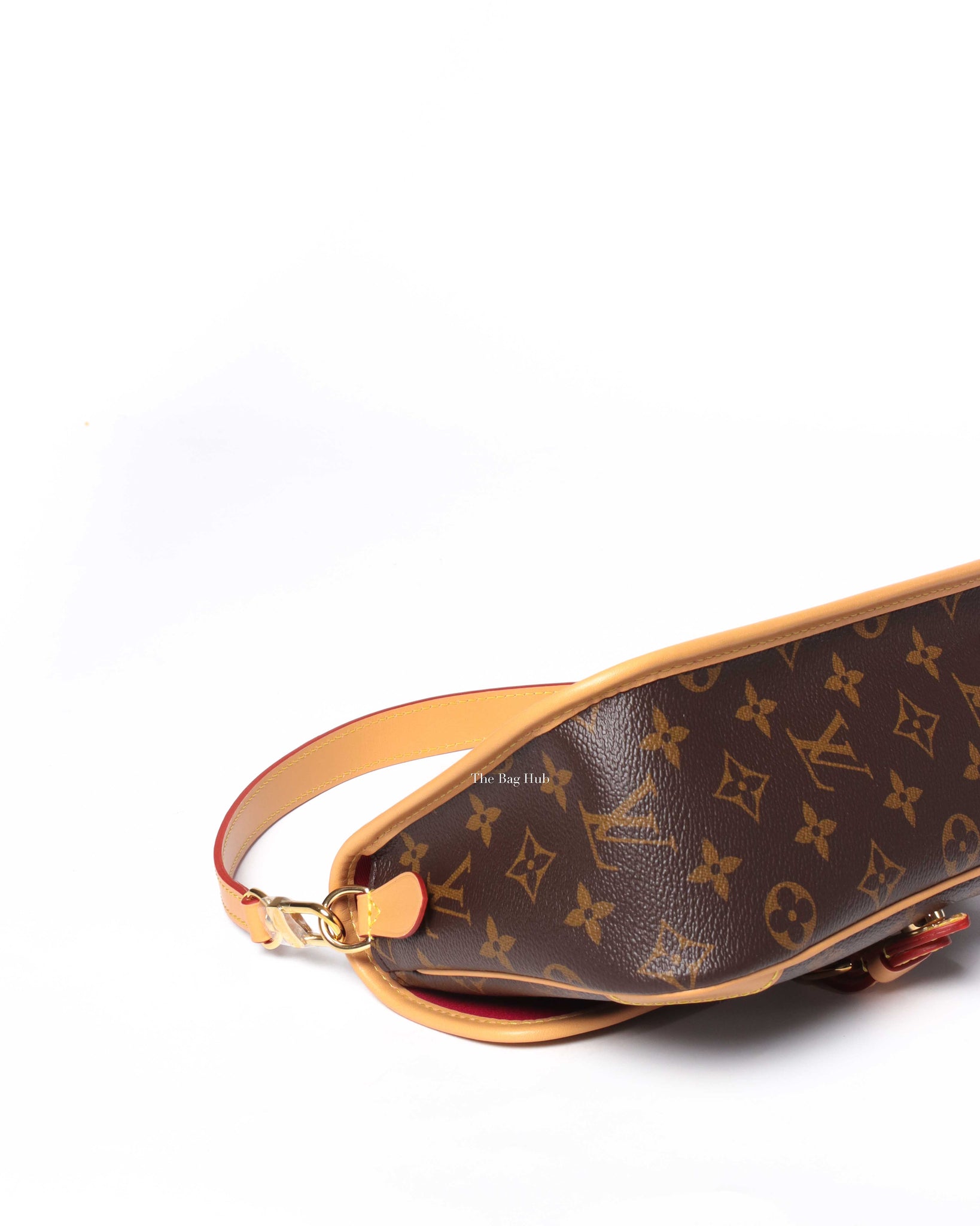 Louis Vuitton Monogram Diane Shoulder & Crossbody Bag-9
