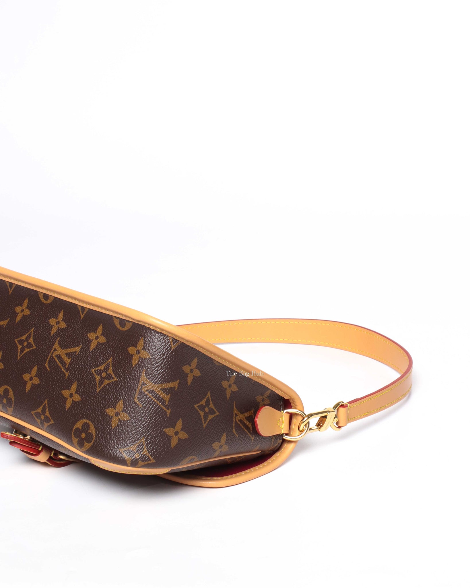 Louis Vuitton Monogram Diane Shoulder & Crossbody Bag-10