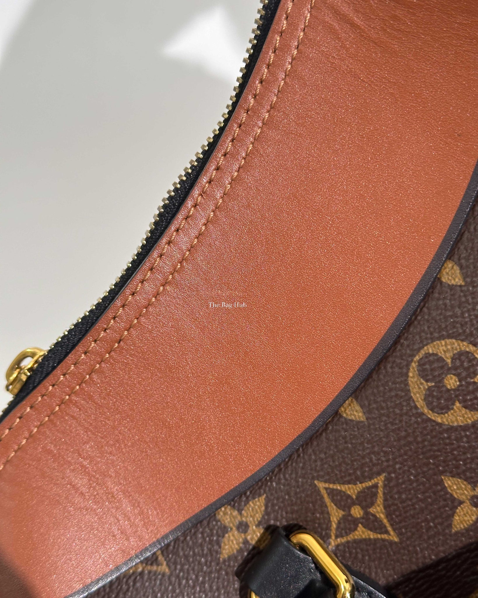 Louis Vuitton Brown/Monogram Canvas Tuileries 2Way Bag-20