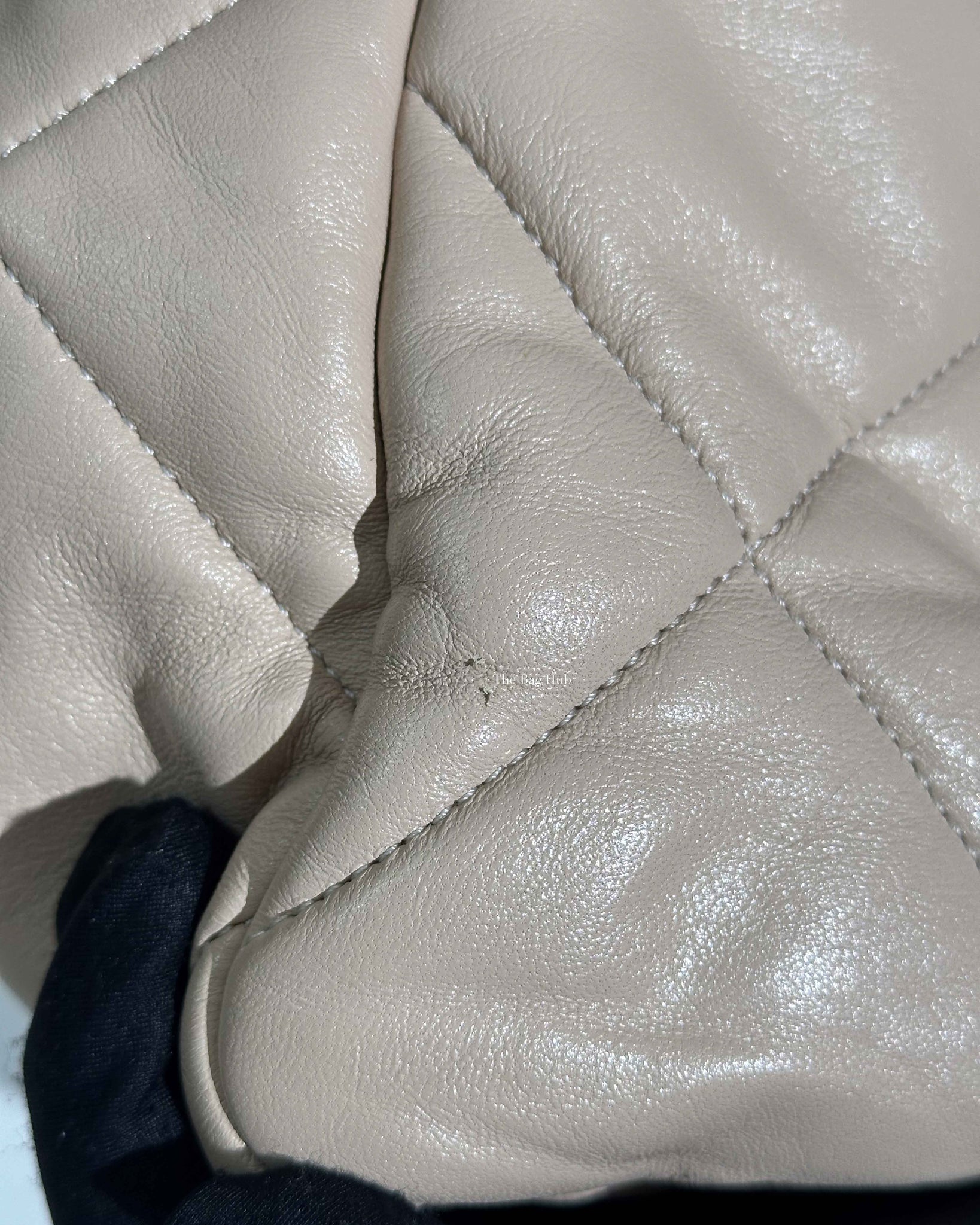 Chanel Beige Lambskin Large C19 Flsp Bag-16