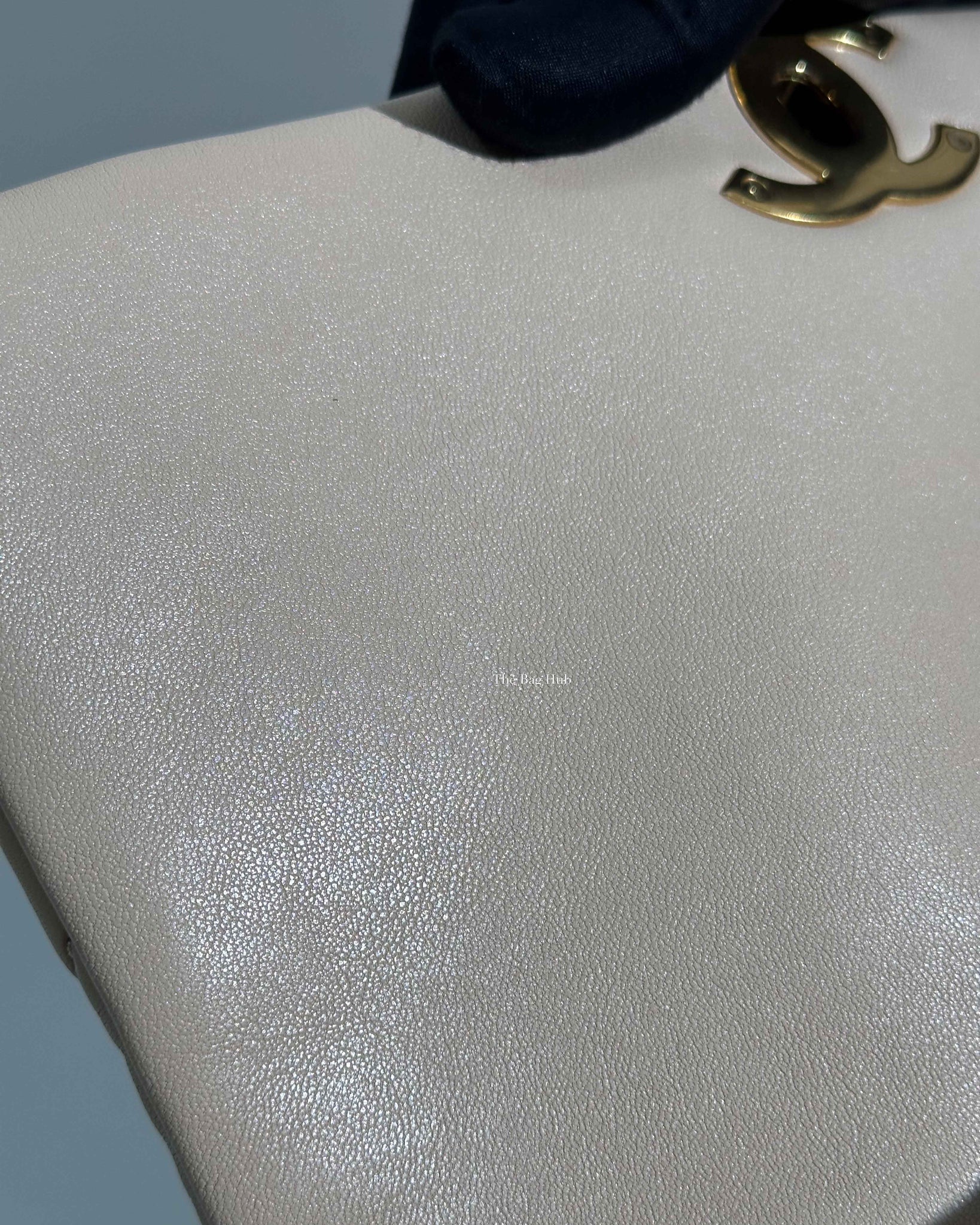 Chanel Beige Lambskin Large C19 Flsp Bag-18