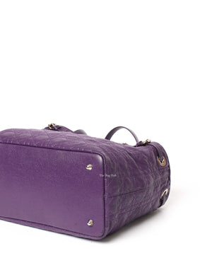 Dior Purple Panarea Shopping Bag-8